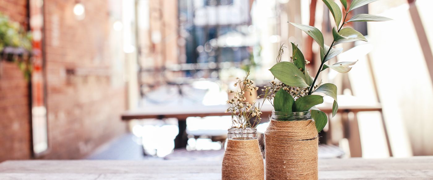 Glass jars reused as sunlit plant pots, one step toward eco friendly scented candles