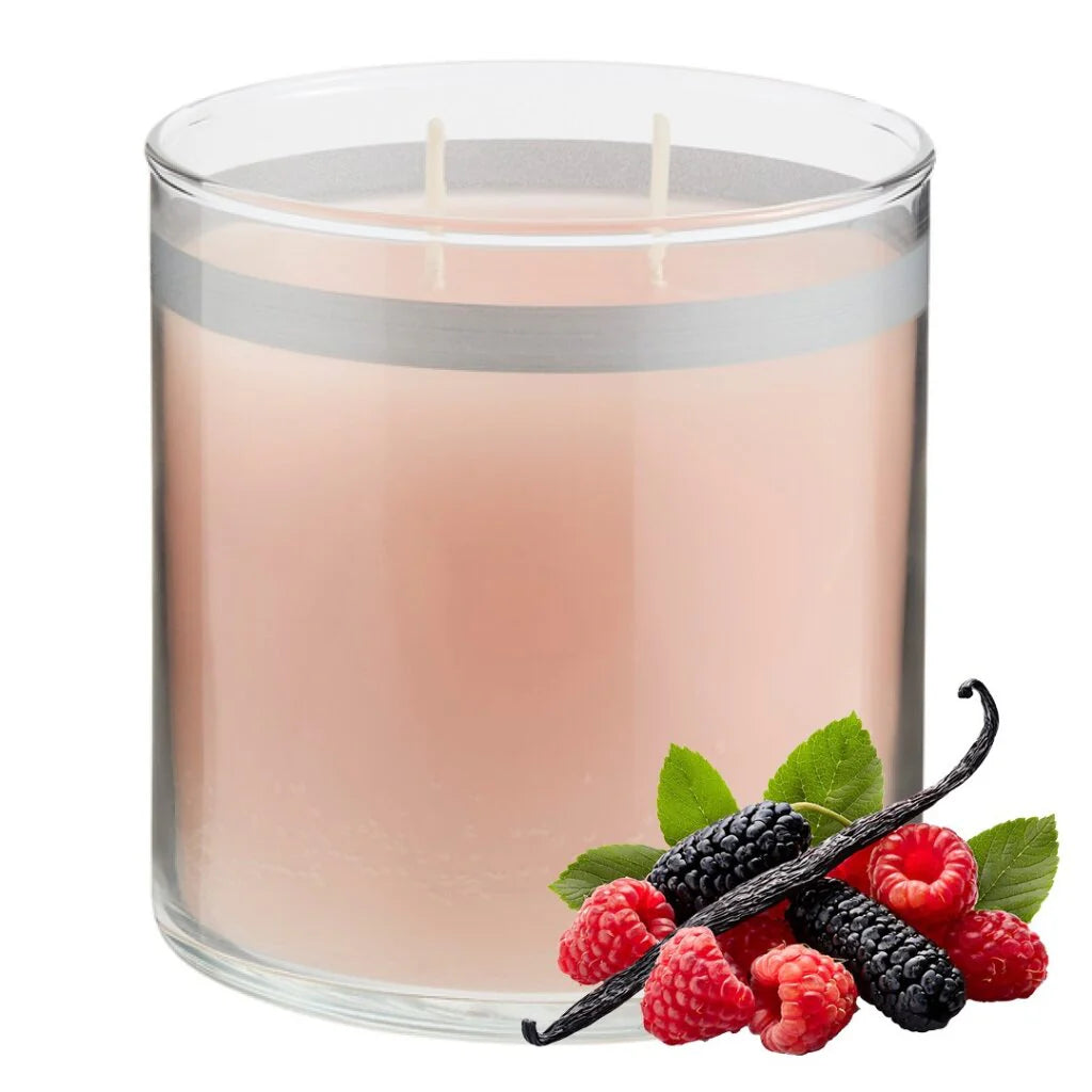 GloLite by PartyLite Mulberry Scented 2-Wick Jar Candle