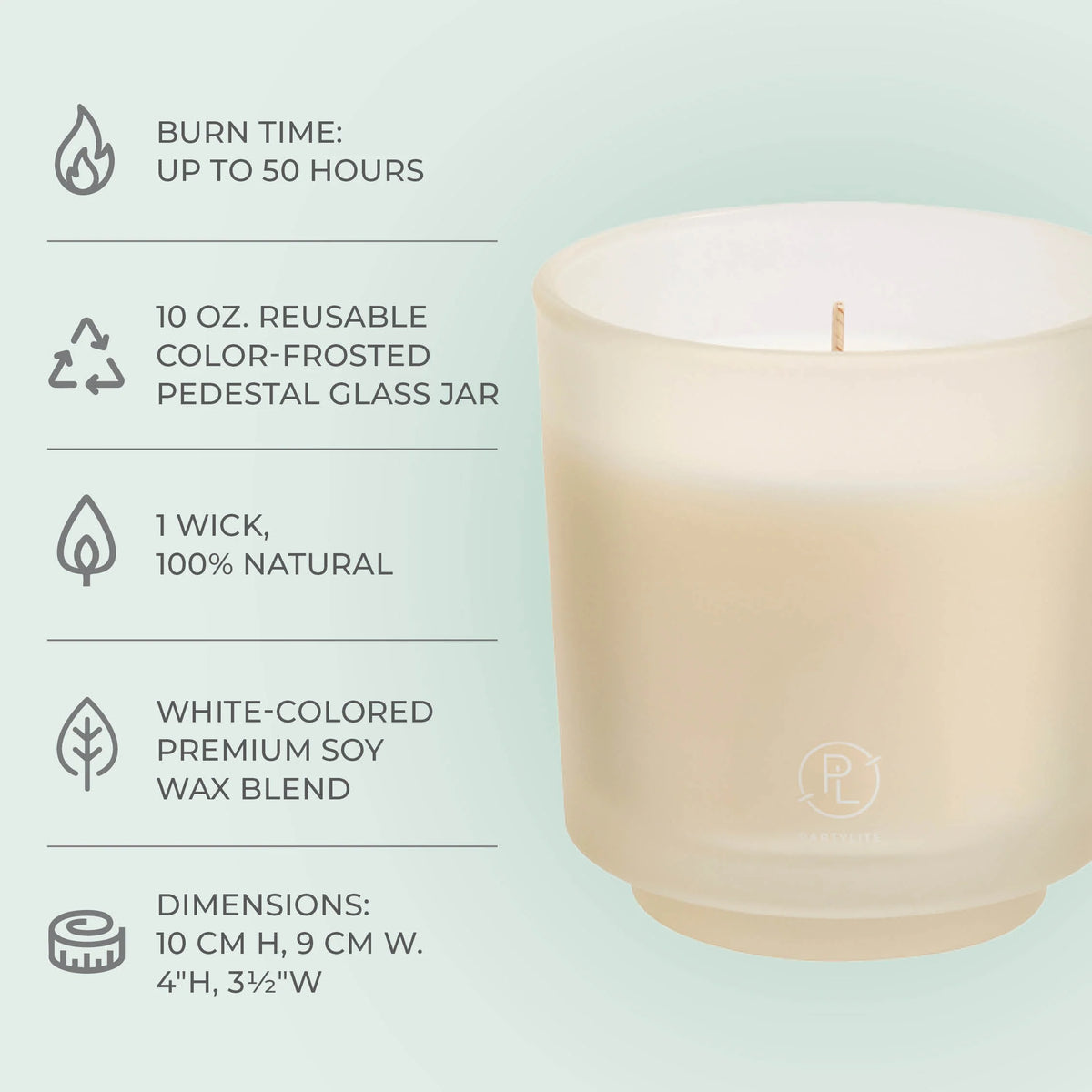 Refillable by PartyLite Iced Snowberries Jar Candle