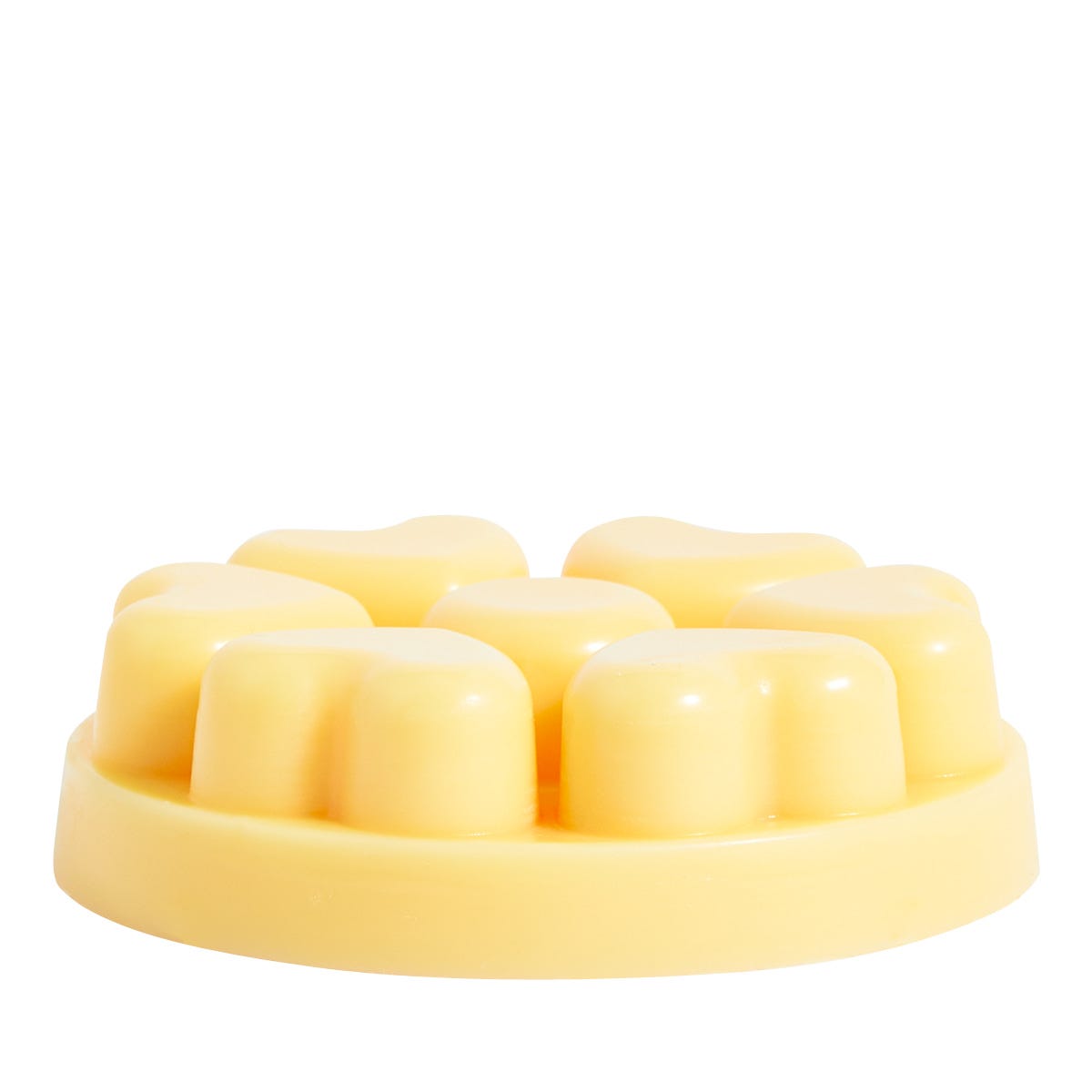 Sunflower Kisses Scent Plus Wax Melts